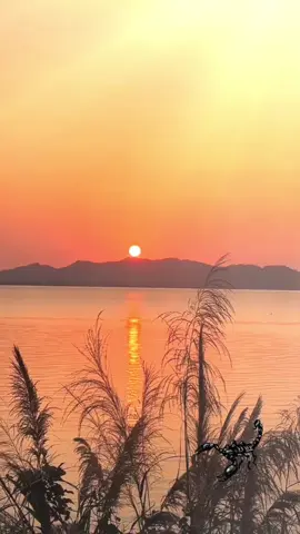 #reflexion #motivation 