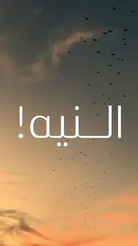 أسباب التوفيق..!🍂🤍 . . . #lewend_93 #النيه #النيه_الطيبه #القلب_الطيب #عصام_الشوالي #اسباب_التوفيق 