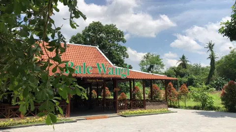 Ada kalanya kita harus mampir ke sini untuk menikmati secangkir kopi panas dan pisang goreng #balewangi #yogyakarta 