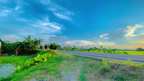 তোমার থেকে যা আসে,তার সবটুকু সুন্দর.... হোক সেটা ফুল,অথবা তার কাঁটা.....! হোক সেটা জীবন,কিংবা কাফন.......! সবসময় মনে রাখবা,মানুষের দেহ মরে কিন্তু প্রেম মরে না....!😅❤️‍🩹 #foryou #trending #fypシ゚ #প্রকৃতির_সৌন্দর্য #বিকেলের_মুহূর্ত🌫️🌈 