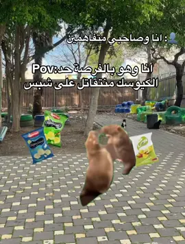 متفاهمين جدا.🤝#كفرقرع #كفرقرع_المثلث #مدرسة_كفرقرع_الثانوية #مدرسة #كفرقرع🔝❤ 