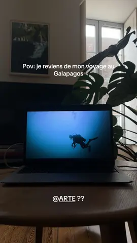 #galapagos #diving #sealion #ecuador #islands 