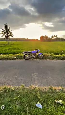 nyenii polll #cepekwell #jogja24jam #masukberandafyp #foryoupagе #cepekgank🤙🏻 