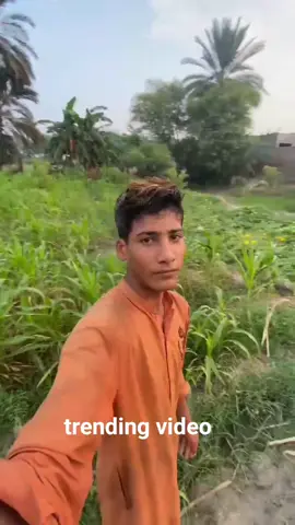 #viralvideo #foryou #fyp #growaccount #100kviews 