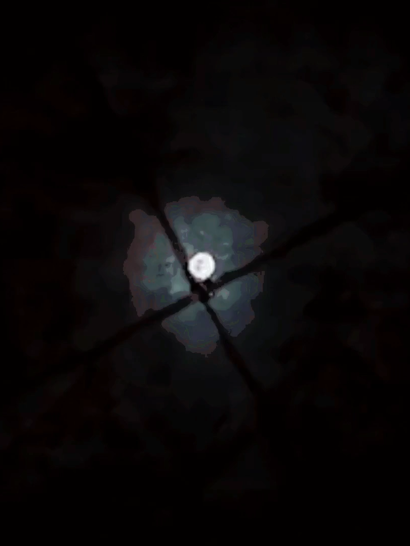 Tokyo Ghoul Short Edit Unravel #anime #tokyoghoul #unraveltokyoghoul #edit #animedit