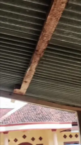 baru belajar cinem#irengstyle #fypage #beatdeluxe #tiktok?pelit?fyp #fypfage 