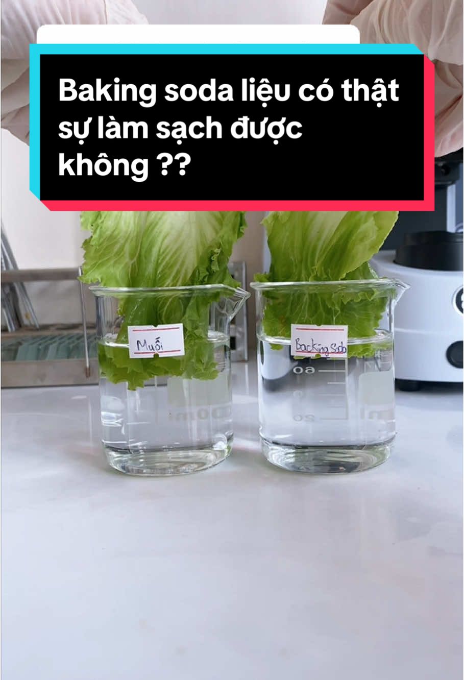 Trả lời @Hoa cỏ may các bạn muốn mình làm về cái gì nữa nhỉ ? #kinhhienvi #xuhuongtiktok #LearnOnTikTok #suckhoe #muối #bakingsoda 