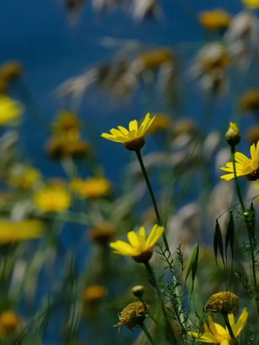 #legend19 #indiansongs #bollywoodsongs