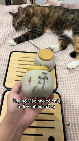 Vào link xem sản phẩm nha các bạn ơi #meo #tiktok #viral #giaitri 