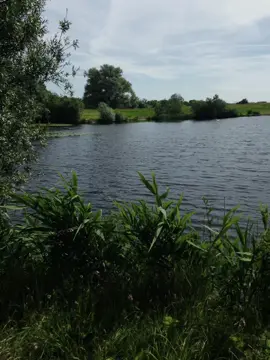 #CapCut #4u #foryoupage #galaubrutal 