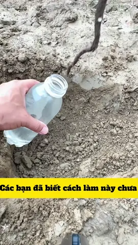 Mẹo hay hữu ích #meovatcuocsong #meovat #chiasekinhnghiem #xuhuong #xuhuongtiktok 