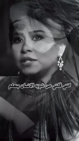 #أنا تعلمت _شيرين_عبدالوهاب #علمتني_الحياة #fyp #foryou #foryoupage 