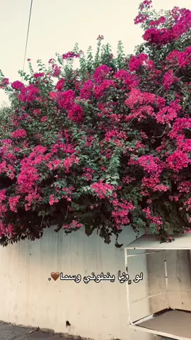 #اكسبلور #fypシ 