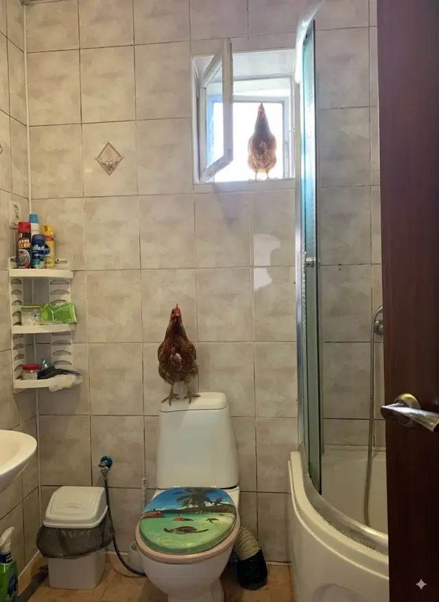 #idk #foryou #chickens 