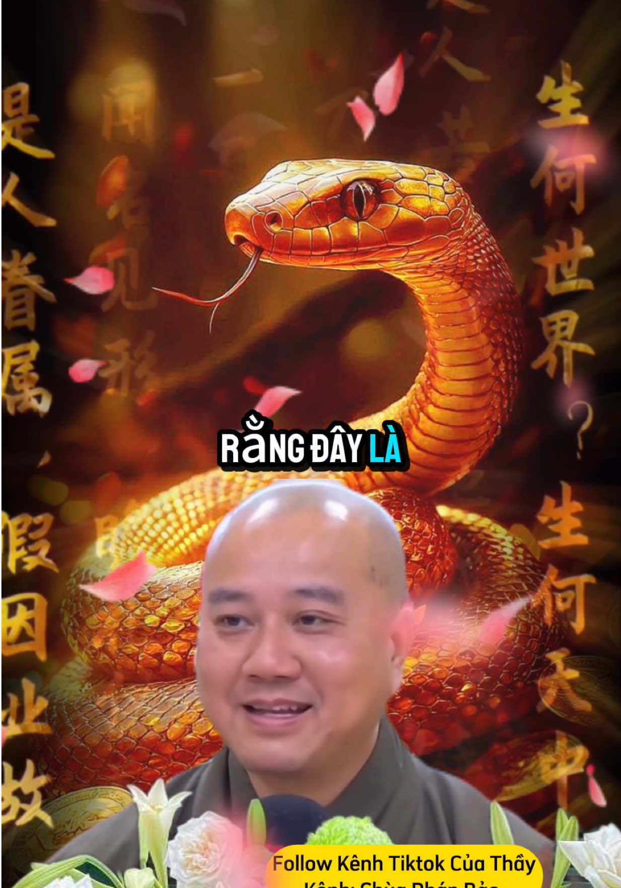 Tuổi Tỵ và tuổi Mùi ơi #tuoity #tuoimui #tuvi #thaythichphaphoa #vongtaytramhuong108hat 