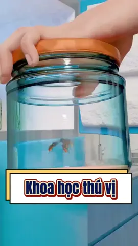 Khoa học thú vị và sáng tạo  #kienthucthuvi #LearnOnTikTok #khampha #viral #fyp 