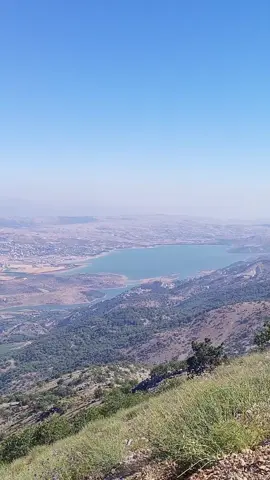 #foryoupage #lebanon 