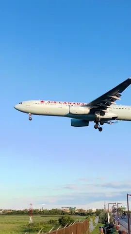 Air Canada Airbus A330 landing in Toronto (CYYZ) on runway 05 - filmed on iPhone 13 - 1K post - #toronto #cyyz #planes #aircanada #fyp @YYZ-Spots🇨🇦 @A6-XWA ✈️ @nigel._.spots @D-ABTK @amir @AIRLINE AVIATION @Angus @AVIATION_YYZ_SPOTTER @Boeing 777-F @✈️Dante_YYZ✈️ @Raunak 