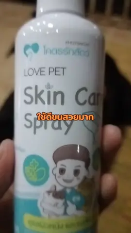 สเปรย์บำรุงขนและผิวหนัง ใช้ดูแล ขน ผิว อุ้งเล็บ ผิวแห้ง เชื้อราก็ช่วยได้ มีให้เลือกใช้ตามขนาดที่ต้องการ#เทรนด์วันนี้้ #tiktokviral #ของดีบอกต่อ #หมา #หมาน่ารัก #หมาตลก #แมว #แมวอ้วน #แมวเหมียว 