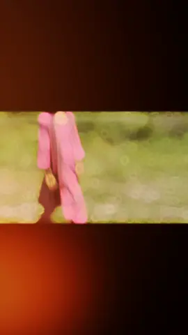 _বন্ধুদের সাথে আড্ডা গুলো😅 - জীবনের বড় আনন্দের মুহূর্ত যা কখনো ভুলে থাকা যায় না🙂 >< @10% @🩵অধরা🕊️ @~ AFRU ~ @shee_str 