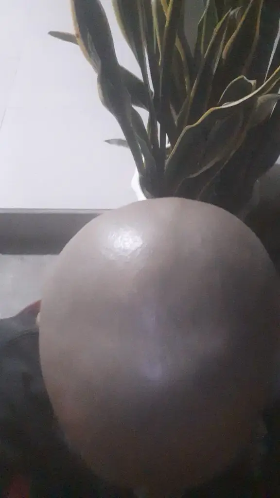 tự xuất gia xuốg tóc cạo đầu trọ thôi .kiều  này đi tu luôn cho rồi mọi người ơi .ai cũg lên tiktok nt cho vui thôi á sao chặn ních tôi để lm gì nhỉ .kiểu này tôi tự kĩ luôn cho rồi hiện giờ tôi ko muốn nt với ai nữa hết á mọi người suy nghĩ tôi đã chết rồi á .mọi người sao này cũg giốg như tôi thôi nhé .sao lại coi thườg người khác để làm gì nhỉ .chắc nhà tội bay có giá trị lắm hả