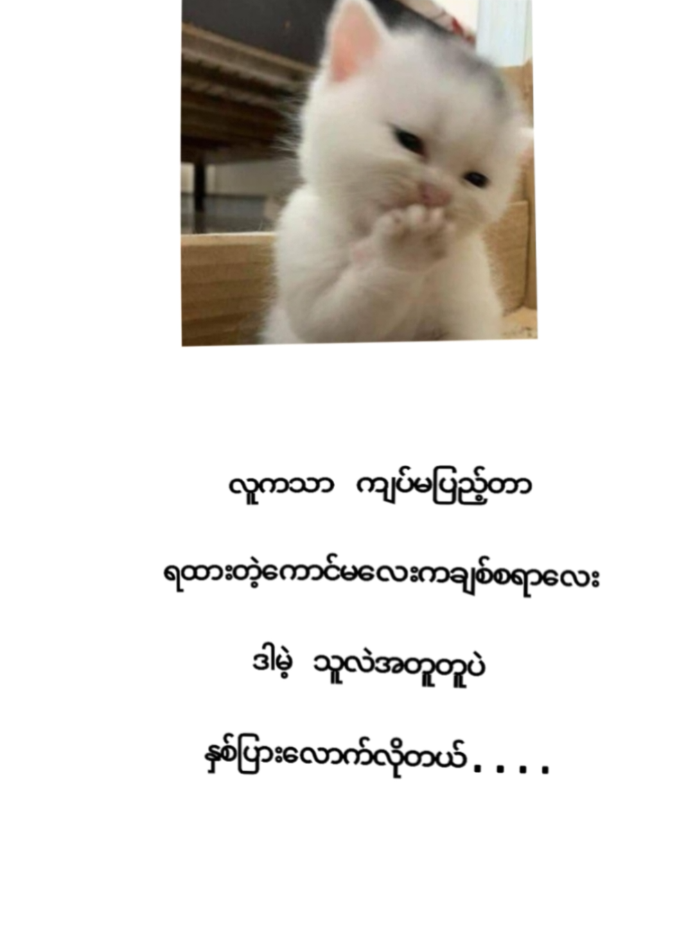 @ခေါ်ရဲမှခေါ်နော်🤪🤪 #ချစ်စရာကောင်းတာတစ်ခုပြမယ်🥺🎀 #fyppppppppppppppppppp #ရောက်ချင်တဲ့နေရာရောက်👌 