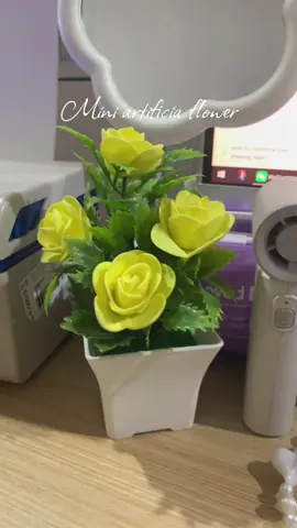 My office desk looks cute with this mini flower #tiktokfinds #desksetup #foryou #fyppppppppppppppppppppppp #foryoupage 