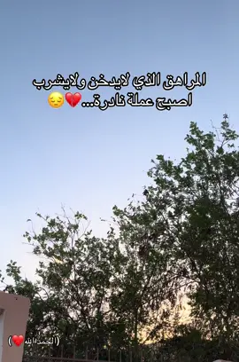 #fyp #الغربة #إعادة_النشر🔄 #الجزائر🇩🇿_تونس🇹🇳_المغرب🇲🇦 