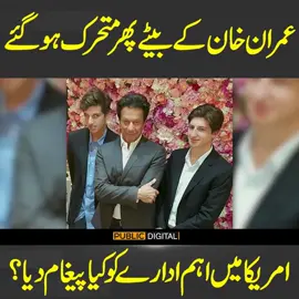 عمران خان کے بیٹے پھر متحرک ہوگئے!! امریکا میں اہم ادارے کو کیا پیغام دیا؟#PublicNews #PublicUpdates #PublicVideo #ImranKhan #Trending #TikTok #For #Viral #ForYou #ViralVideo #ForYouPage #Exclusive #Fy #Fyp