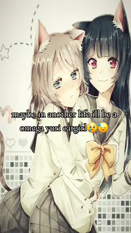 i wish #fyp #yuri #cat #real #shitpost 