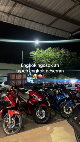 #katakatamadura #fyp 