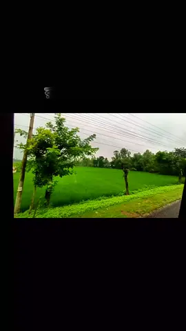 রংপুর টু ঠাকুরগাঁও  #foryoupage #trak_drive #unfrezzmyaccount #fypシ゚viral #viralvideo 