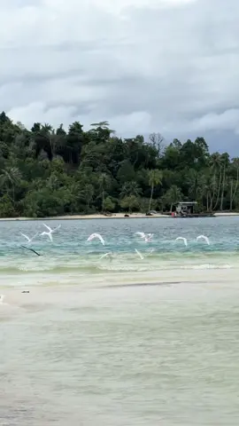 Biarlah ombak membawa pergi segala kekuatiran#paradise #fyp #mentawaiislands #mentawai #mentawaiislandstour