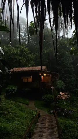 ในวันที่ฝน พรำ โครตเหงาเลย #ที่พักเชียงดาว #ที่พักธรรมชาติ #ท่องเที่ยวเชียงดาว #โฮมสเตย์เชียงดาว #เทรนด์วันนี้້ 