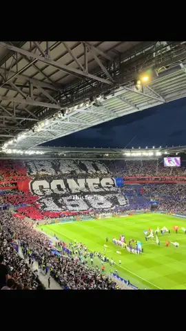 Un soir d’olympico au Groupama 🫶❤️💙#prtoiシ #pourtoi #olympiquelyonnais🔴🔵 
