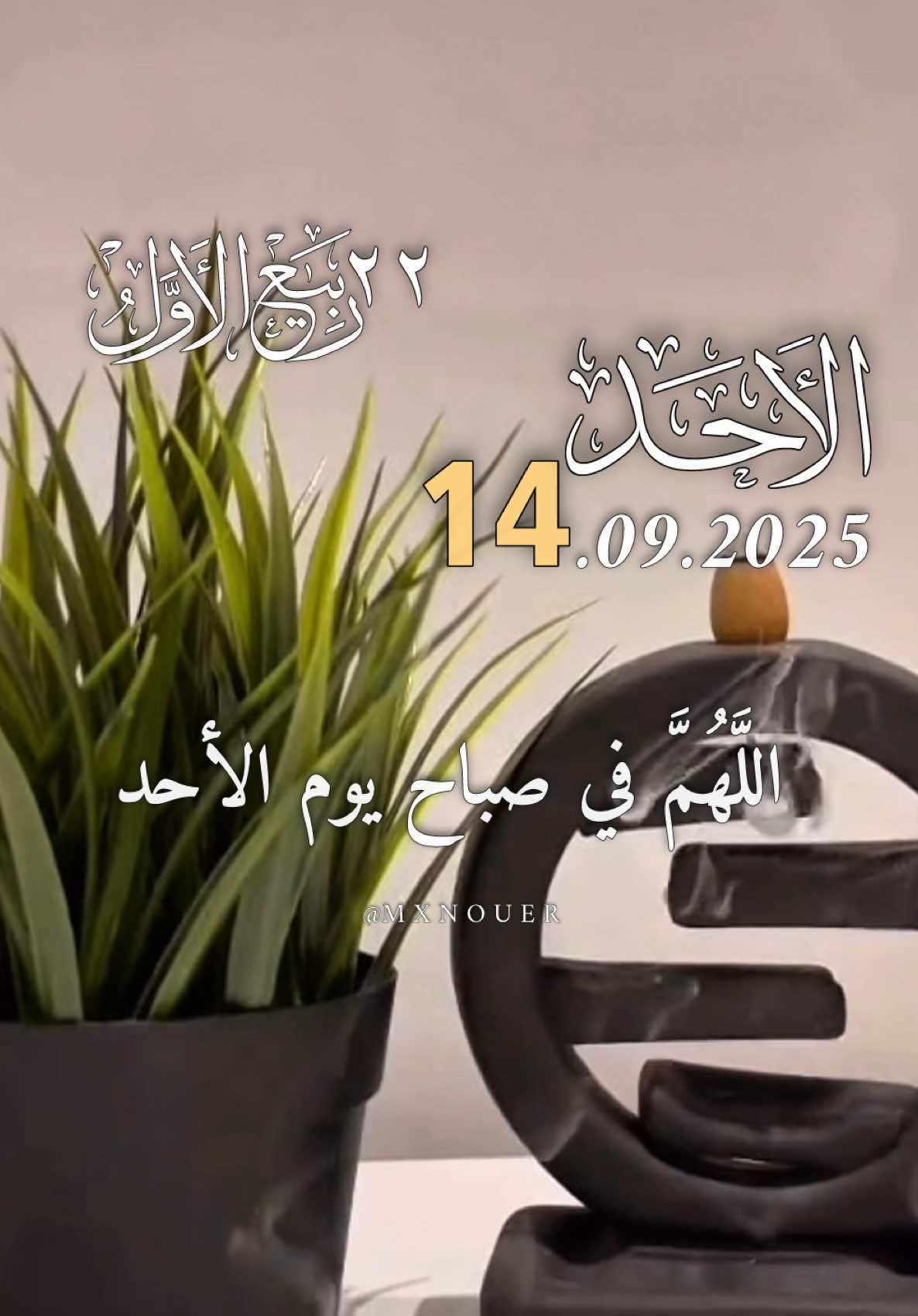 دعاء يوم الأحد 14/09/2025 🌷🌹🌸 اللهم في صباح يوم الأحد يارب 🤲  #دعاء_يوم_الاحد #اللهم_امين_يارب_العالمين #mxnouer #اللهم_صلي_على_نبينا_محمد #اللهم_لك_الحمد_ولك_الشكر 