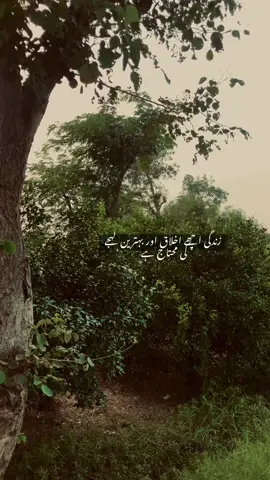 زندگی اچھے اخلاق اور بہترین لہجے کی محتاج ہے ۔۔کوشش کریں اپنا اخلاق اچھا رکھیں۔🖤🍁#fypシ゚viral🖤tiktok☆♡🦋myvideo 