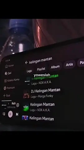 yoweslah piye meneh. #fyp #liriklagu #kelinganmantan #ndxaka 