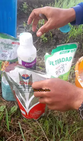 ketika kesenangan telah didapat dari ta'at maka sudah tidak perlu lagi kenikmatan yang berbentuk maksiat #jangkauanluas #semuaorang #fyp 