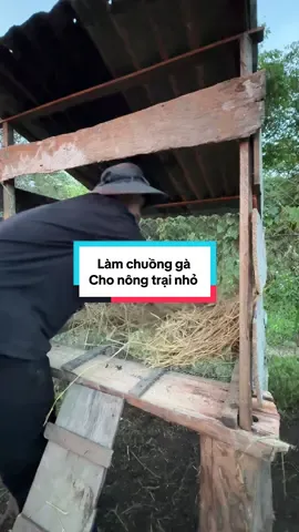 Ngày 5: làm chuồng gà cho nông trại nhỏ #ducduy_official #Vlog 