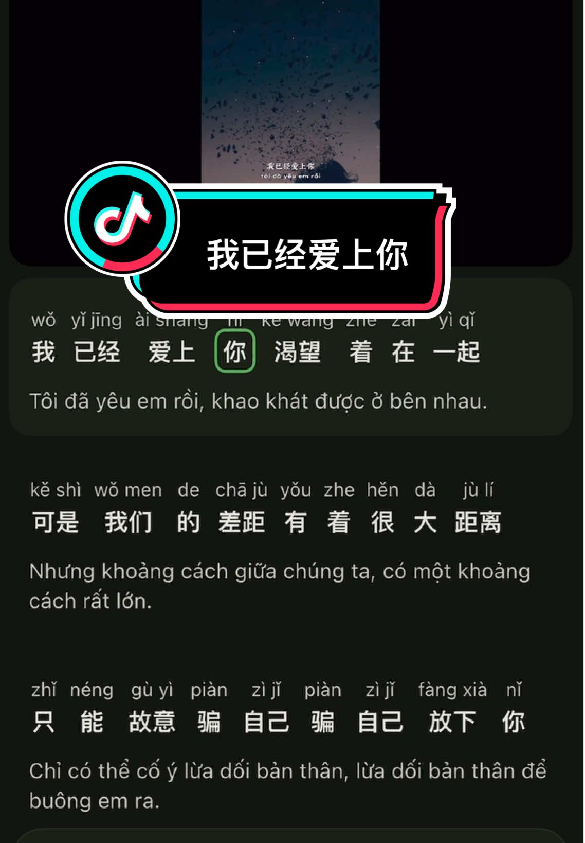 Suuy//  #我已经爱上你    🎧🎵 #nhactrung  #chinasong  #lovesong #chinesemusic luyennghetiengtrung🌱 learningchinese🌱学中文🌱hoctiengtrung🌱 hoctiengtrungonline🌱nochill95🍂