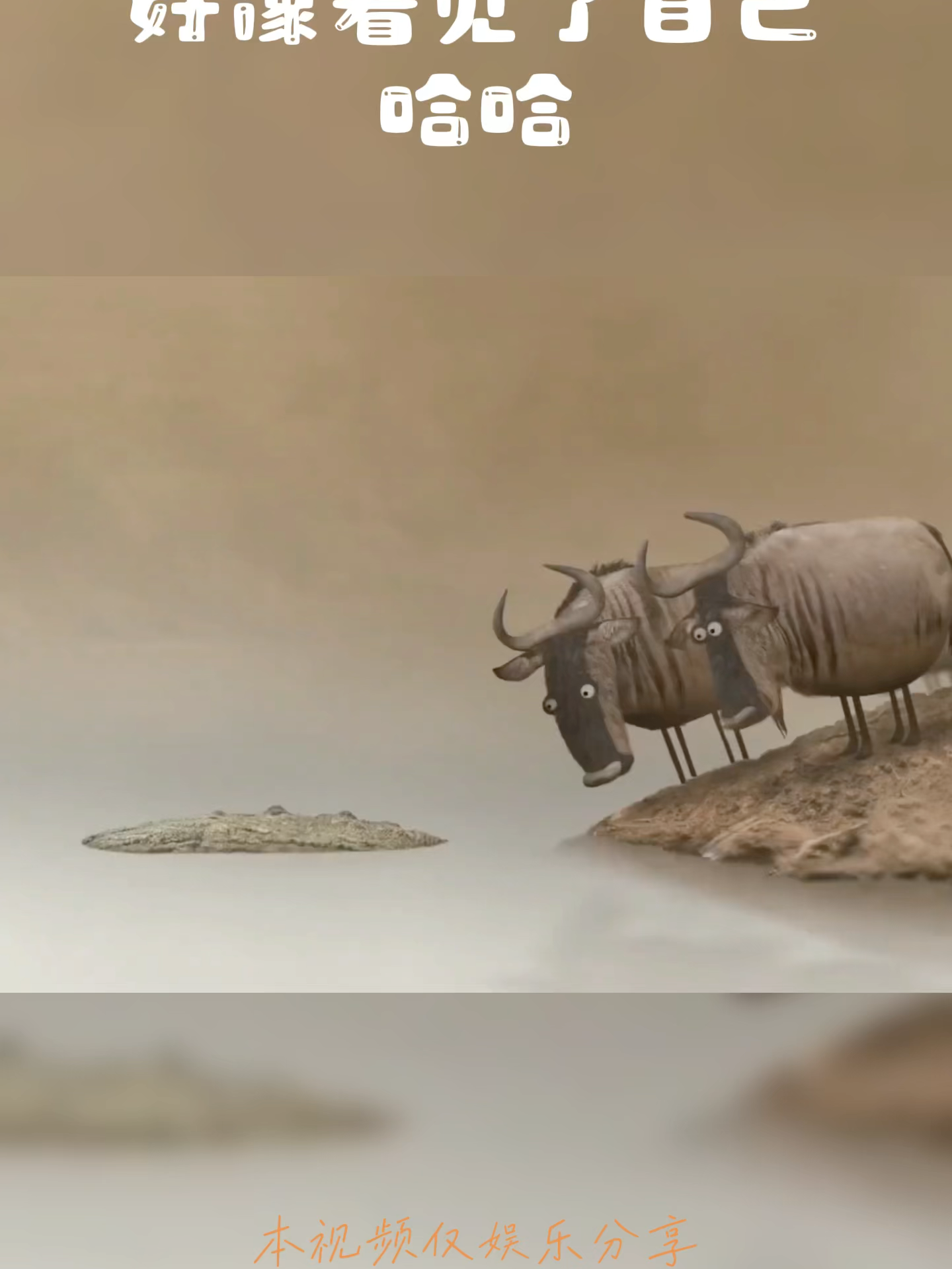 好像看见了自己哈哈