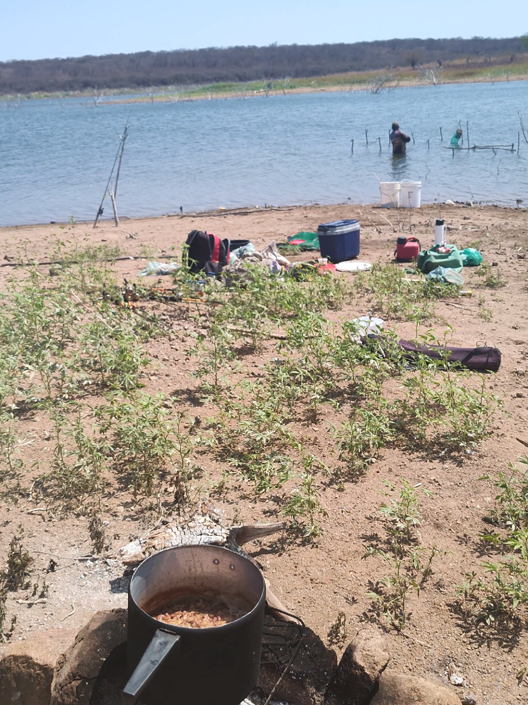 #fishing #foryou #public #viraltiktok #viral 