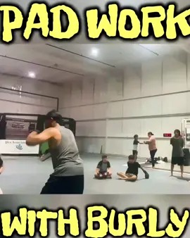 52BLOCKS BURLY STAY WORKING 