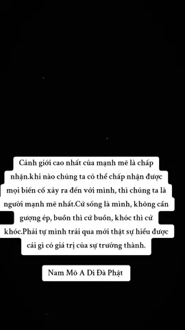 #nammoadidaphat #hocphatmoingay #phatphapvobien #phatphap #xh 