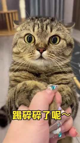 Baby is really amazing~ #cat