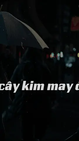 Sắp trung thu rồi… #nhachaymoingay #capcutpioneer #pioneertemplate #remix #rinmusic93 