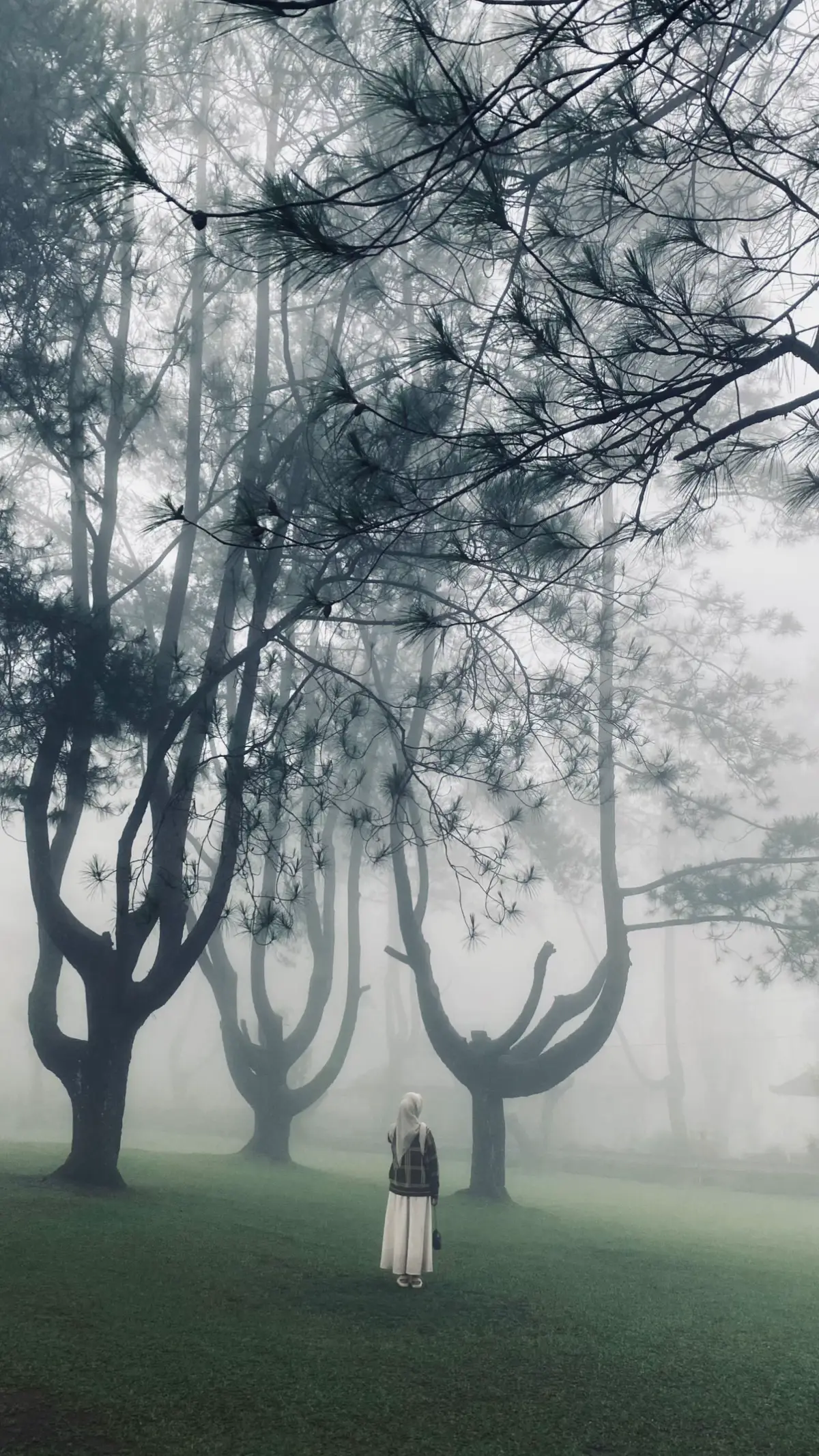 Berisiknya isi kepala biarkan sunyi oleh pelukan alam🌬️☁️🕊️#alam #goalawapurbalingga #kabut #wisataalam #fyp 