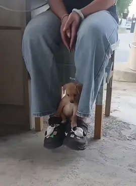 Sei una persona speciale e unica al mondo.🐶♥️🐾♥️🐶