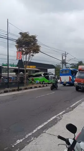 area wajib bukit berbunga#buspariwisata#fyppppppppppppppppppppppp#jetbus3#basuribukitberbunga #annurtransamerta